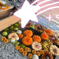 ⭐︎花手水⭐︎