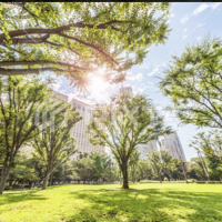 おはようございます☀️