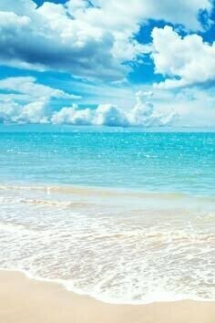 おはようございます☀️🐬