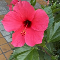 おはようございます🥰