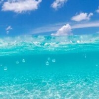 こんな状況ですが…🐬