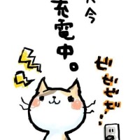 おはようございます
