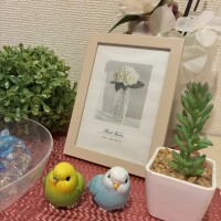 ありがとう