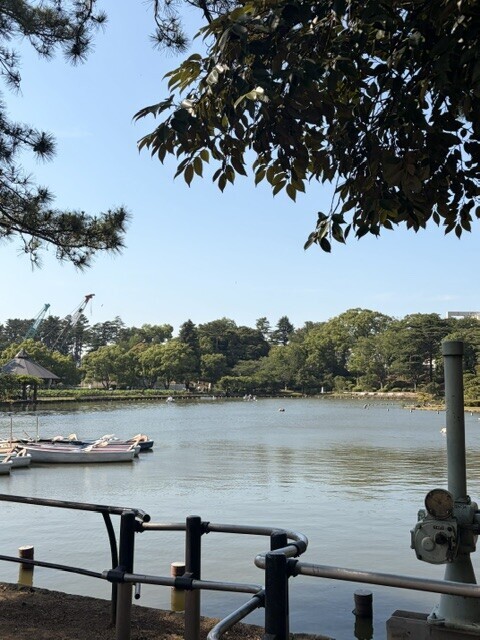 IMG_9059.jpeg