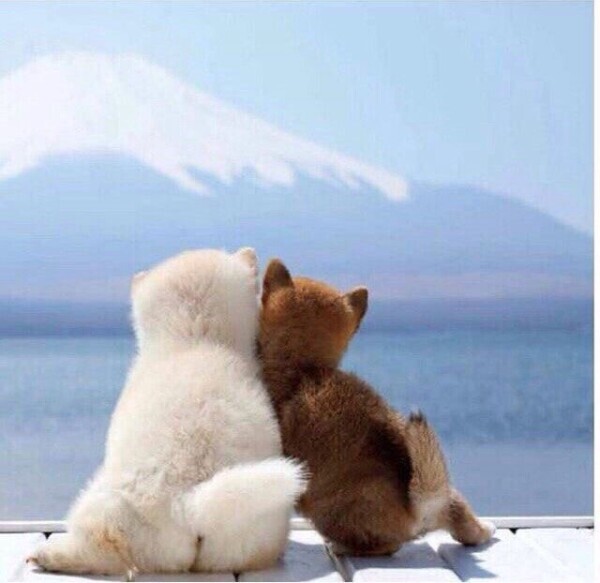 おはようございます☀
