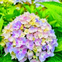 おはようございます☀️