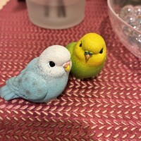 おはよう