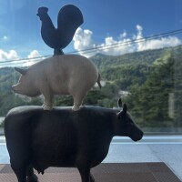 8月ラスト〜♪