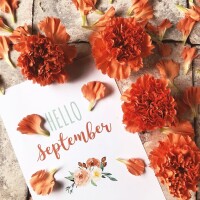 9月🌰🌼