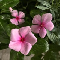 おはようございます🥰