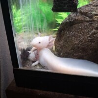 こんにちは🌷