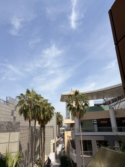 IMG_8971.jpeg
