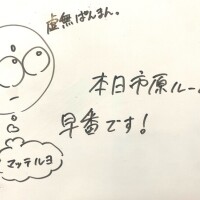 出勤致しました〜🐬🫧