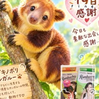ありがとうございました🫧