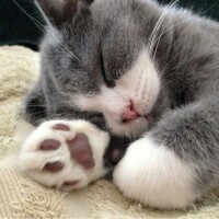 こんばんは