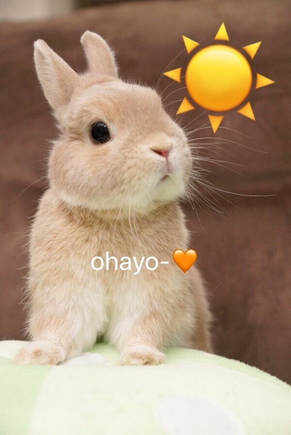 おはようございます☀️