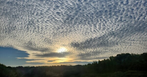 🌾秋空
