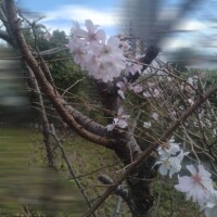 こんばんは