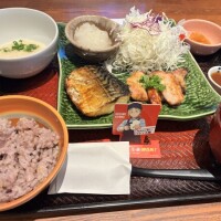 おやすみ