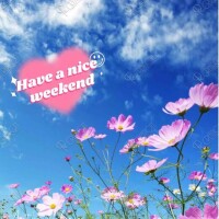 おはようございます☀️
