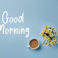おはようございます！