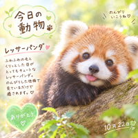 ありがとうございました🫧