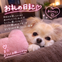 お礼です♡