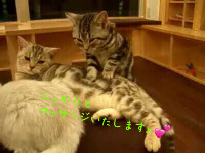 解しますよ♡