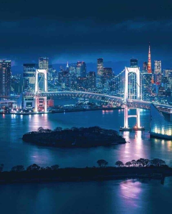 リフレッシュ🌉