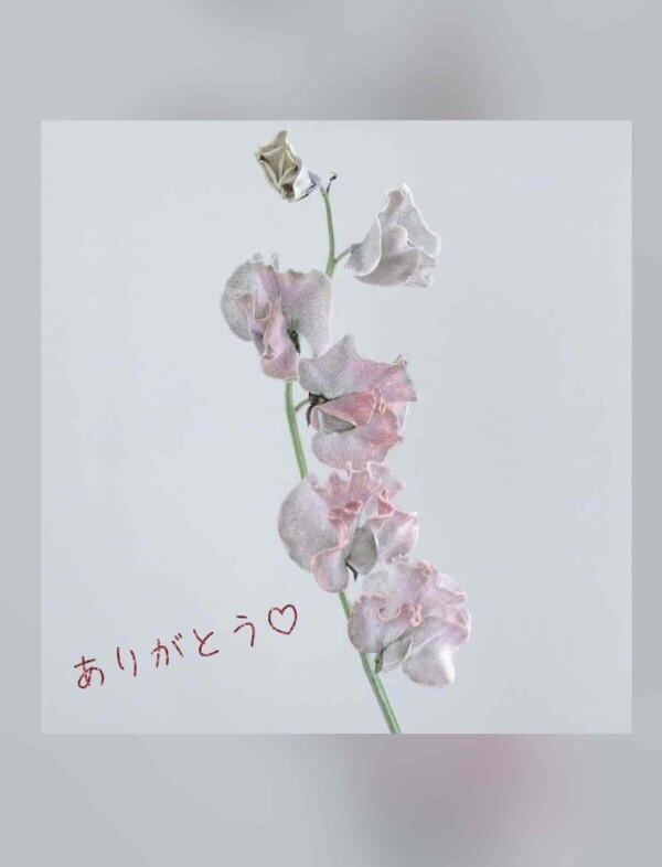 こころポカポカ🌷