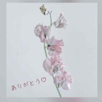 こころポカポカ🌷