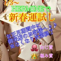 運試し