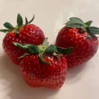 ビタミン補給