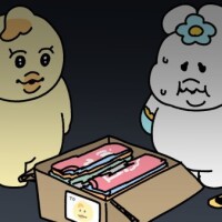 今日の格言