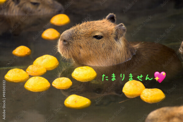 ジェットコースター💦