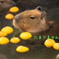 ジェットコースター💦