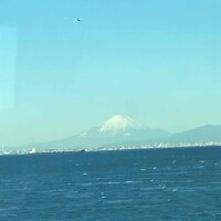 今日は10:00〜18:00❣️