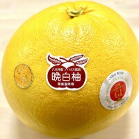 ばんぺいゆ
