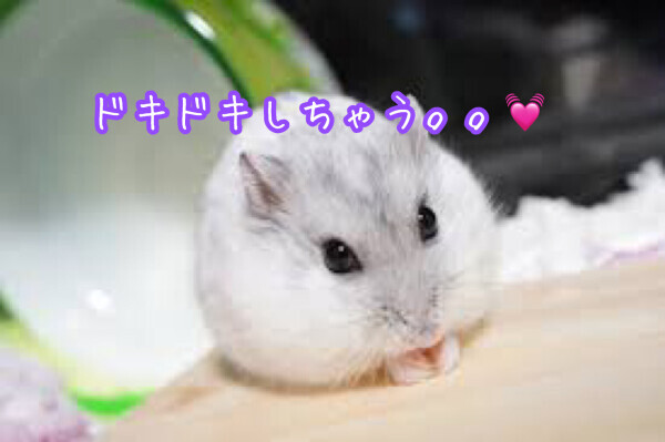 温かくなりましょ♡♡