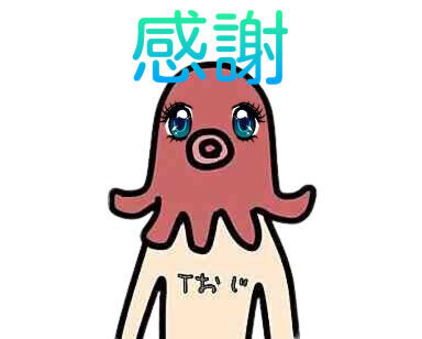 ㊗️一周年