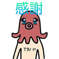 ㊗️一周年