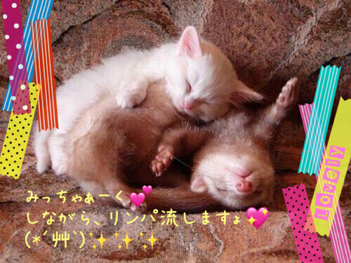 飽きてきたなと思ったけど。。