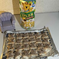 遅ればせなから、、、。