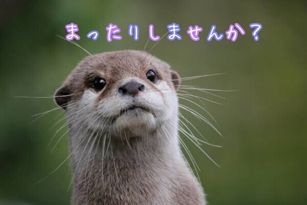 ごめんなさい。。また