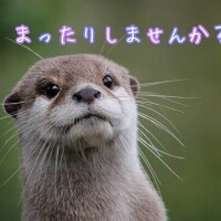 ごめんなさい。。また