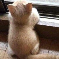 気持ち良さも倍増☝️