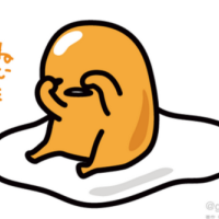 おはようございます☀️