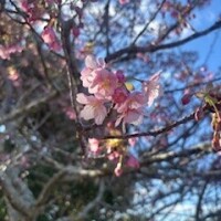 おやすみありがとうございました💖