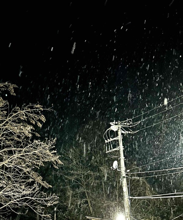 今季初見❄️雪❄️