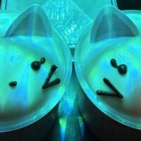 ２月から３月へ☘️